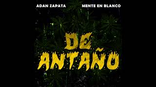 Envidia - Adan Zapata, Mente En Blanco ( Official Audio) Súper Rolon