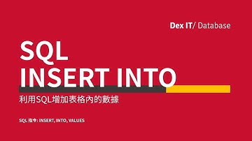 【SQL】 Access SQL INSERT INTO 增加資料表內的數據 教學 (中文字幕) (可調節速度)