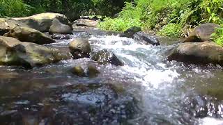 Suara Alam ASMR: Gemercik Air Sungai untuk Tidur Nyenyak \u0026 Relaksasi