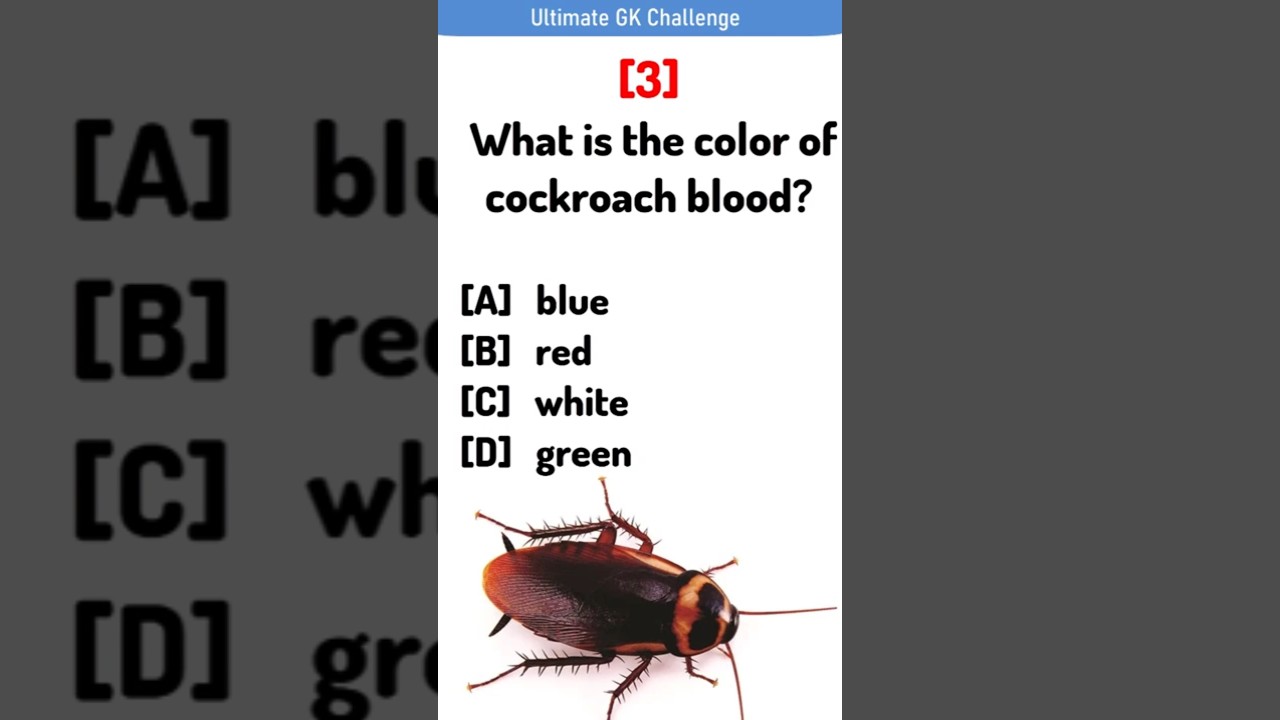 💡 Узнайте, как быстро Индия называется GK | Быстрые вопросы | Серия викторин GK | Факты и вопросы...