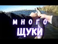 Ловля щуки в глухом каряжнике.Jig&Jerk.