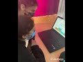 WhatsApp Video 2022 04 20 at 15 07 13