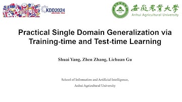 KDD 2024 - Practical Single Domain Generalization