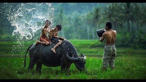 TRUYỆN NGẮN: CÚI  XUỐNG LÀ ĐẤT - TÁC GIẢ NGUYỄN NGỌC TƯ (YÊU NGƯỜI NGÓNG NÚI)