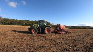 New Bull , Drilling Winter Bird Mix#farming #farm #agriculture