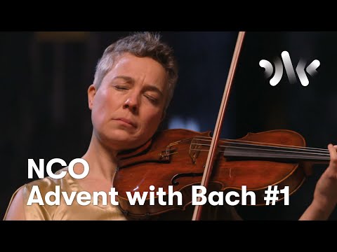 J.S. Bach: Cello Suite No.1 in G Major, Prélude // Ida Bryhn, viola