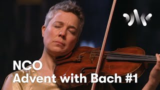 J.s. Bach: Cello Suite No.1 In G Major, Prélude Ida Bryhn, Viola
