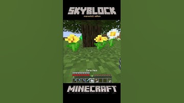 Beehive luck in Minecraft Skyblock series