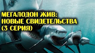 МЕГАЛОДОН ЖИВ: новые свидетельства (3 серия)