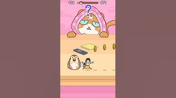 HIDE AND SEEK //CAT ESCAPE GAME 478// SCOTLAND CHASES A LADY!! #shorts #cat #gaming