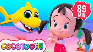 baby shark more nursery rhymes cleo cuquin children songs