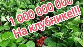 видео: Миллионы  на клубнике и как мы делаем двери. картинка: Миллионы  на клубнике и как мы делаем двери.