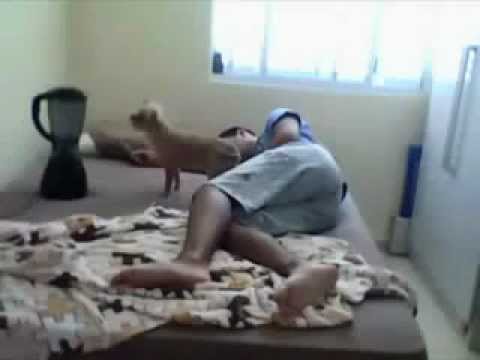 أجمد مقلب زوجه لزوجها