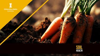 Soil Health - Idaho Home Garden Tips