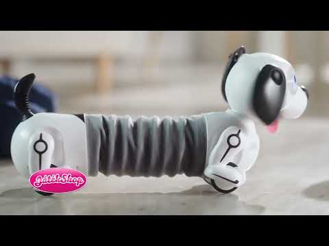 RoboTacsi interaktív robot kutya video