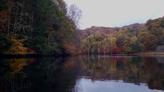 Autumn colour kayak (4K) - Loch Faskally in Pitlochry, Perthshire, Scotland