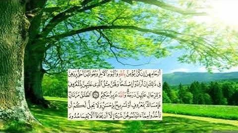 صفحة-36- page سعد الغامدي - -سورة البقرة