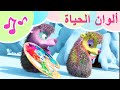 ألوان الحياة أغاني ماشا والدب كاريوكي للأطفال TaDaBoom عربى