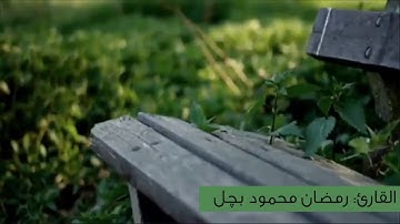 القارئ الموريتاني رمضان بيجل