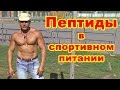 Пептиды в спортивном питании