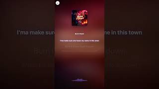 Burn It Down - NyzaStudios #Shorts