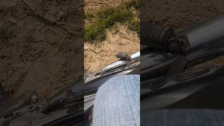 Nature vs. Development: A more observational take on the situation. #viralvideo #savetree