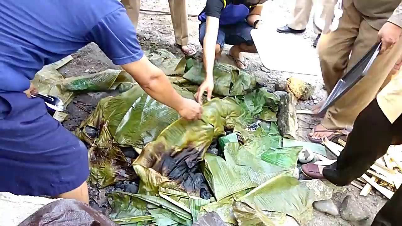 Cara masak model bakar batu ala Suku Dani dari lembah Cara masak model bakar batu ala Suku Dani dari lembah