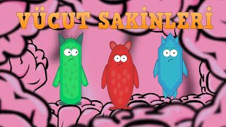 VÜCUT SAKİNLERİ / 1.  Mide Bulantısı / Çizgi Dizi Resimi