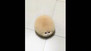 Locked Out Of Heaven  Hoodtrap Remix