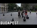 Funny Reaction of Guard at Parliament in Budapest