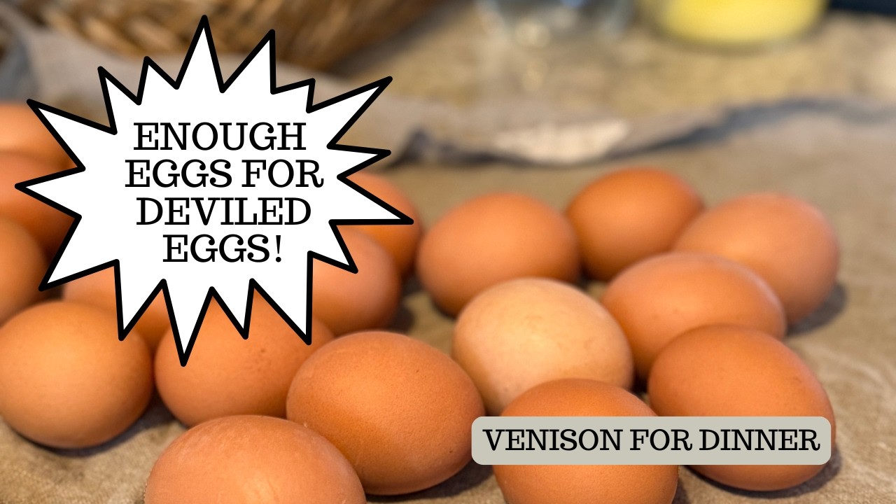 Сегодняшний день в стиле «Кухня для тестирования рецептов»!