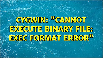 Cygwin: "cannot execute binary file: Exec format error"
