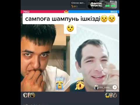 Сампоға шампунь ішкізді🤣 Самурай & Сампо