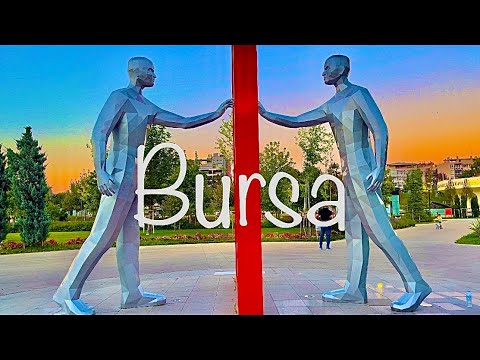 Bursa