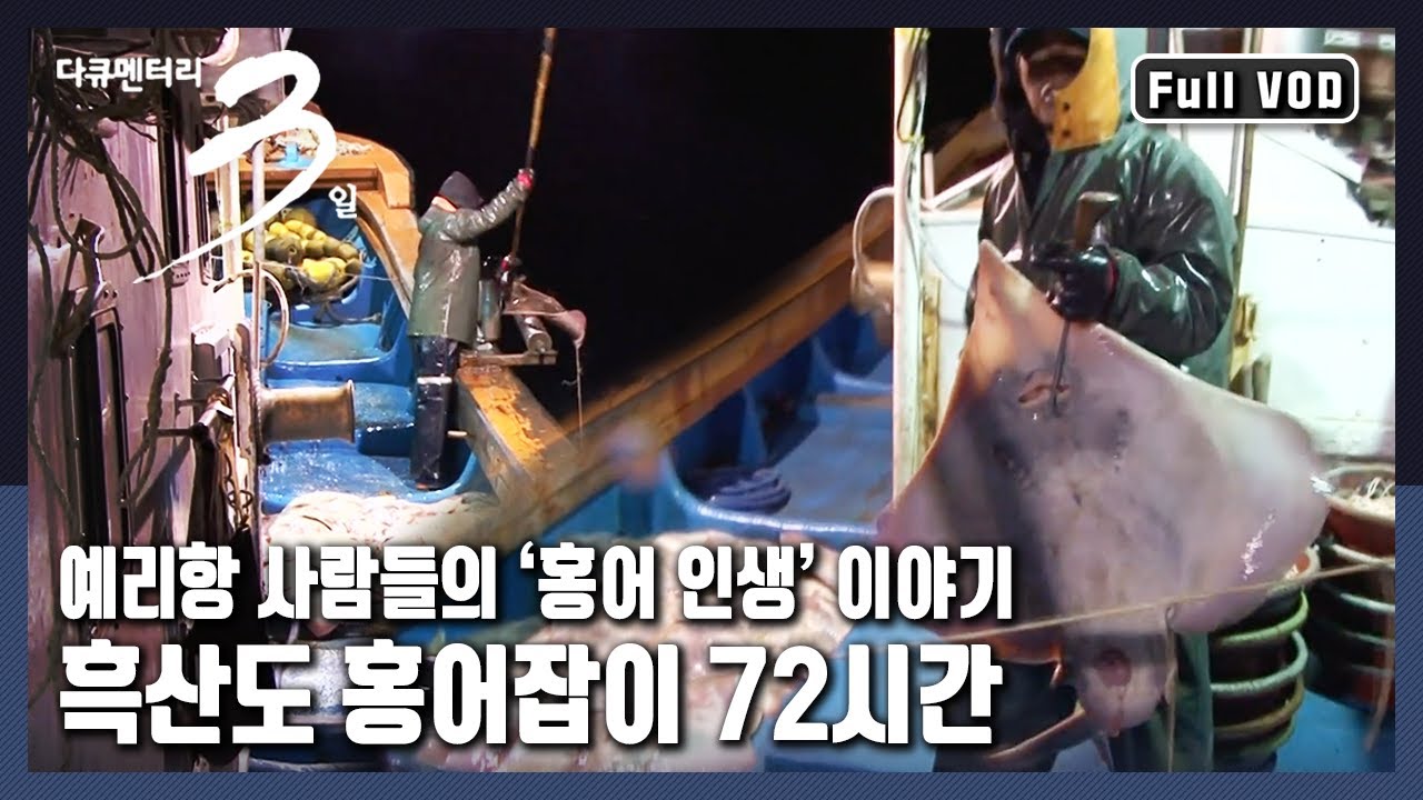 [다큐3일★풀버전] ⛰산과 🌊바다가 푸르다 못해 검게 보이는 섬 🏝흑산도의 밥줄이 되어온 고기! 