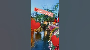 سوره الضحى بصوت الشيخ فارس عباد