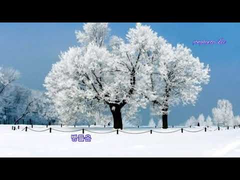 님(창살없는 감옥/원곡:박재란)/나훈아