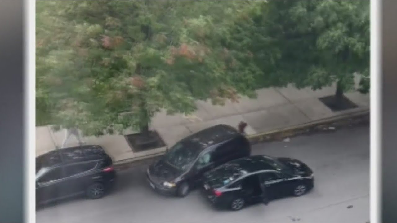 Chicago Police investigating attempted abduction in the West Loop - YouTube