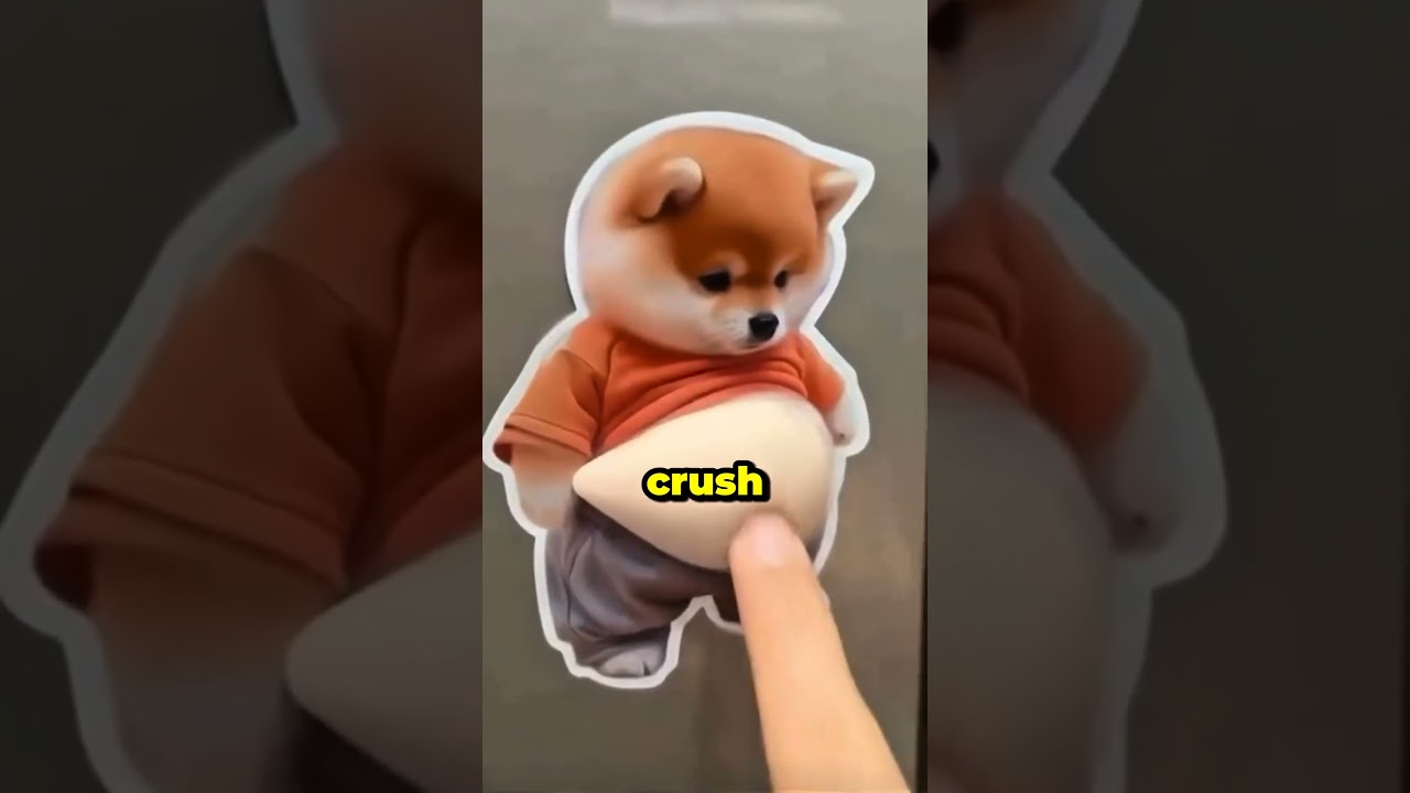 Наклейки для дверцы, обеспечивающие безопасность собак и кошек..🐱🐶