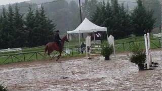 Florent Quadette CL3 Laizé CSO.AVI