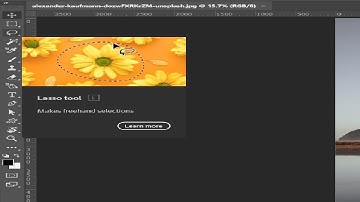 How to disable and enable rich tool tips in photoshop