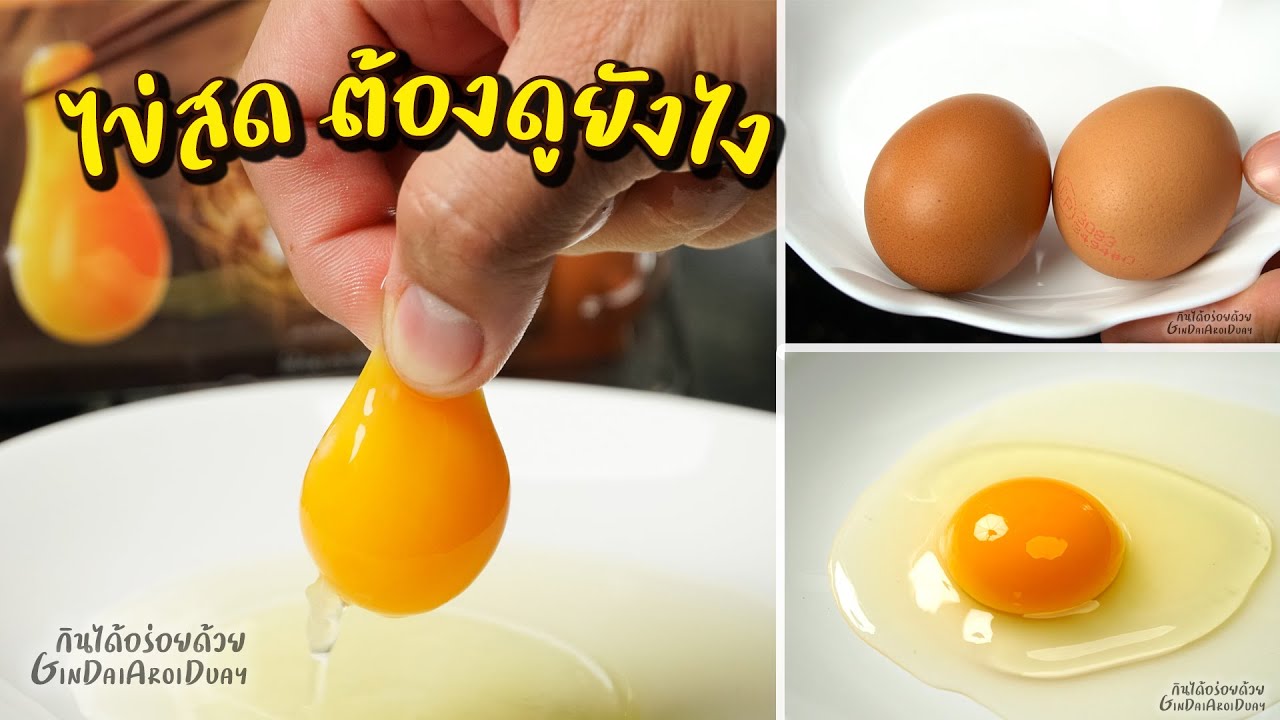 เทคนิค วิธีเลือกซื้อไข่ไก่สดๆ ต้องดูยังไง ไข่สดจริงเป็นยังไง l กินได้อร่อยด้วย