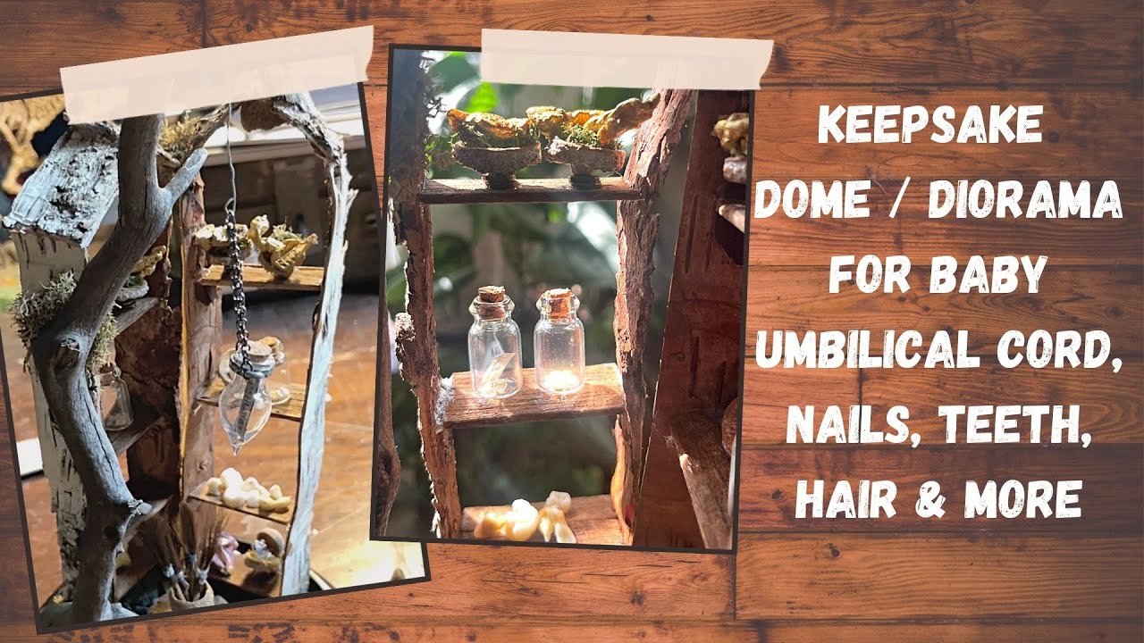 Keepsake memento dome. Baby umbilical cord, baby teeth, baby hair