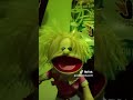 sjsjsjsj