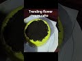 trending flower vase cake #food #customcakes #buttercream #flowercakedecorating #kaduna