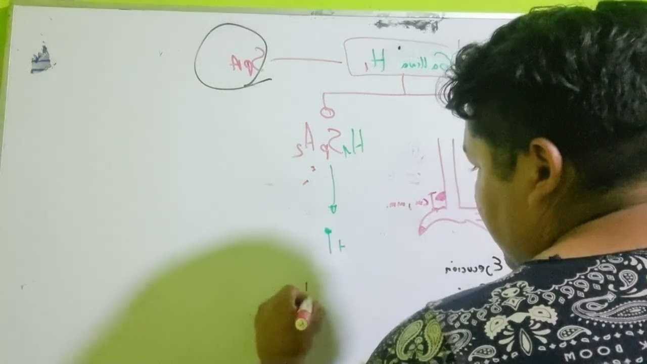 Imbredhing en Gallinas.- Parte 2