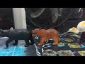 Stop and go animals