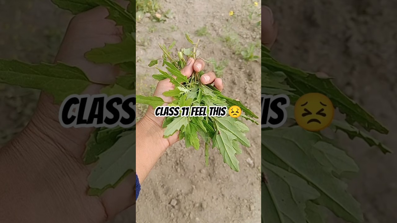 Class 11Life is not easy 🤧 | 