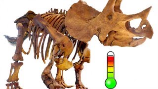 Hot N Cold - A Dinosaur Story