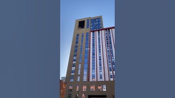 GEN Z Is Not Lazy | We Have Options | Independence Day #youtubeshorts #shorts